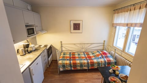 Apartment, 1 Bedroom | Private kitchen | Fridge, microwave, oven, stovetop