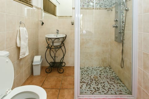 Room 4 | Bathroom shower