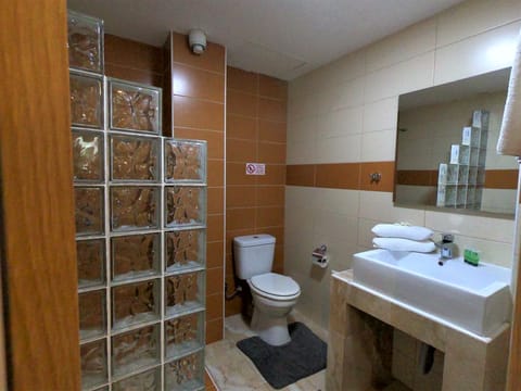Superior Double Room, Private Bathroom | Bathroom | Shower, free toiletries, hair dryer, towels