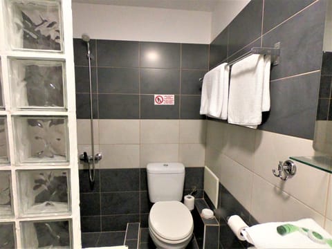 Double Room, Private Bathroom | Bathroom | Shower, free toiletries, hair dryer, towels
