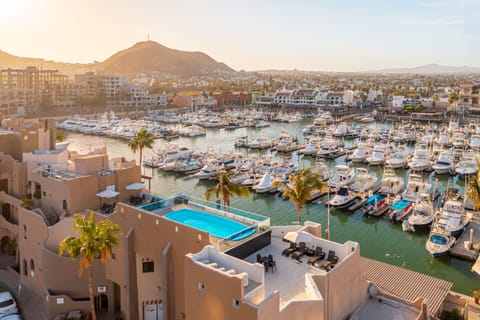 Outdoor pool, open 9:00 AM to 8:00 PM, sun loungers