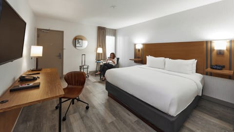 Room, 1 King Bed, Non Smoking | Desk, blackout drapes, iron/ironing board, free WiFi