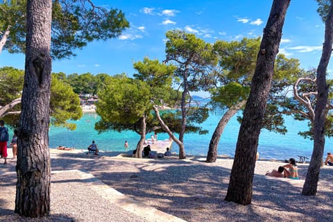 On the beach, white sand, sun loungers, beach umbrellas