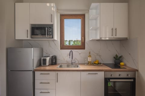 Family Villa, 2 Bedrooms, Private Pool, Pool View | Private kitchen | Full-size fridge, microwave, oven, stovetop