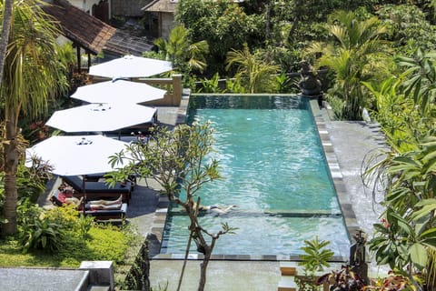Outdoor pool, open 7:00 AM to 7:00 PM, pool umbrellas, sun loungers