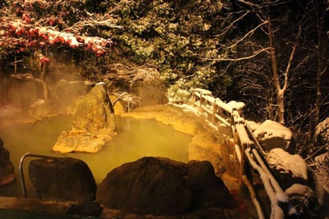 Natural pool