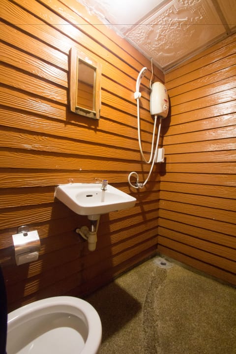 Shower, free toiletries, bidet, towels