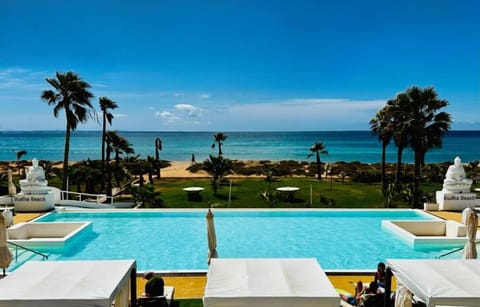 Outdoor pool, sun loungers