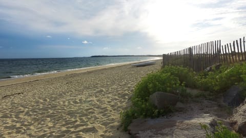 Beach nearby, fishing