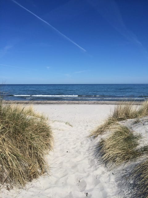 White sand, beach volleyball