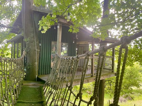 Exclusive Tree House, Courtyard View | Exterior