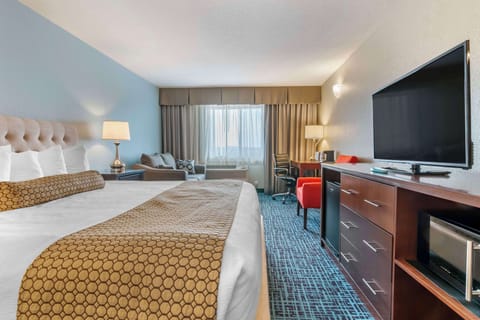 Standard Room, 1 King Bed, Accessible, Refrigerator & Microwave (with Sofabed) | Desk, iron/ironing board, WiFi, bed sheets