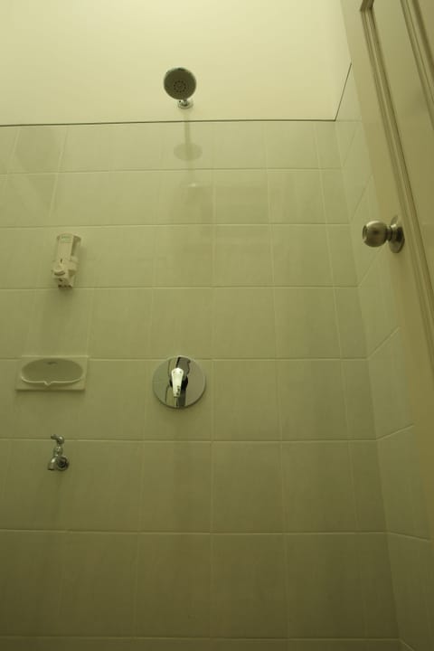Standard Room | Bathroom | Shower, free toiletries, towels
