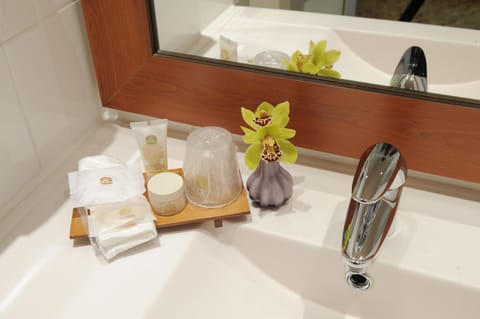 Shower, free toiletries, hair dryer, slippers