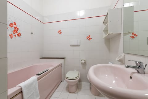 Hair dryer, bidet, towels