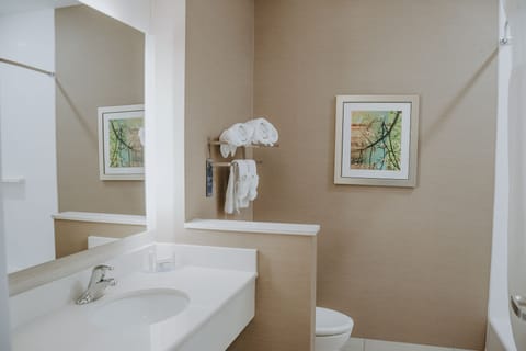 Combined shower/tub, free toiletries, hair dryer, towels