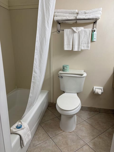 Combined shower/tub, free toiletries, hair dryer, towels