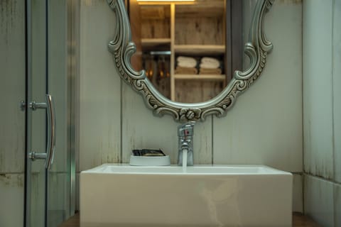 Superior Double or Twin Room | Bathroom | Shower, free toiletries, hair dryer, towels