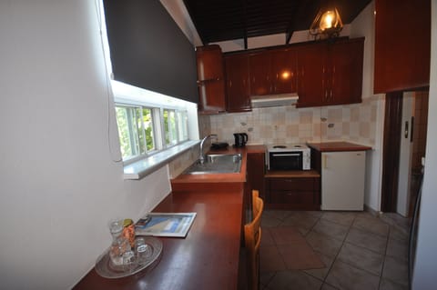 Studio | Private kitchen | Mini-fridge, oven, electric kettle, toaster
