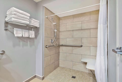 Combined shower/tub, free toiletries, hair dryer, towels