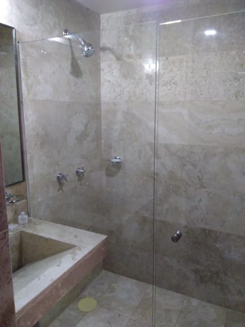 Suite | Bathroom | Shower, free toiletries, towels, soap