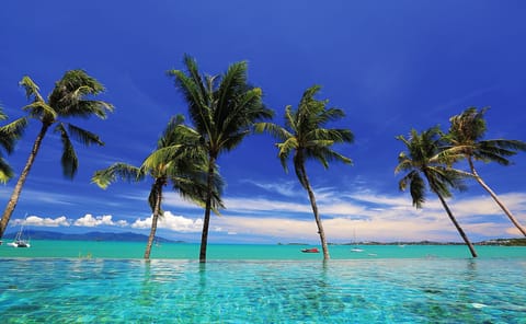 3 outdoor pools