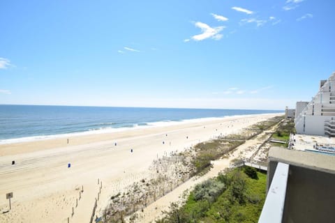 Condo, 2 Bedrooms | Beach | On the beach