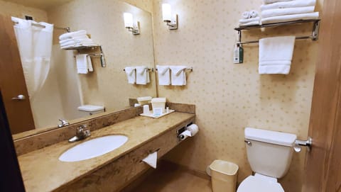 Combined shower/tub, free toiletries, hair dryer, towels