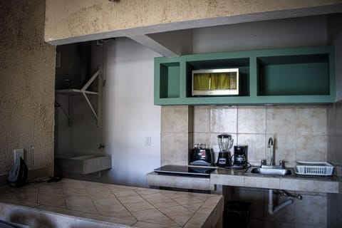 Standard Apartment, 1 Bedroom | Private kitchen