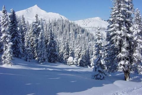 Region [winter] (>5 km)
