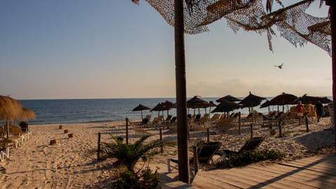 Private beach, white sand, windsurfing, beach volleyball