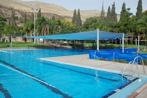 Seasonal outdoor pool, pool umbrellas, sun loungers