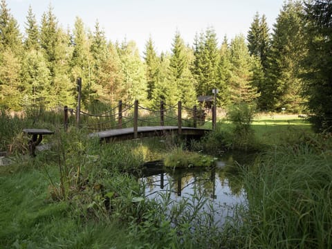 Immediate Surroundings [summer] (<1 km)