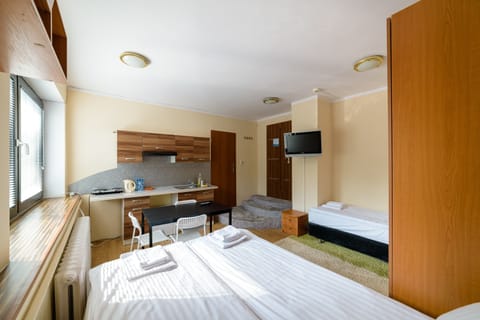 Studio, Kitchenette | Living area | TV