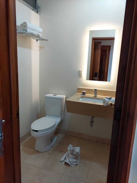 Executive Room | Bathroom | Shower, towels