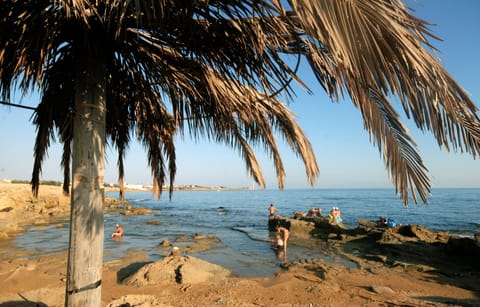 Beach nearby, free beach shuttle