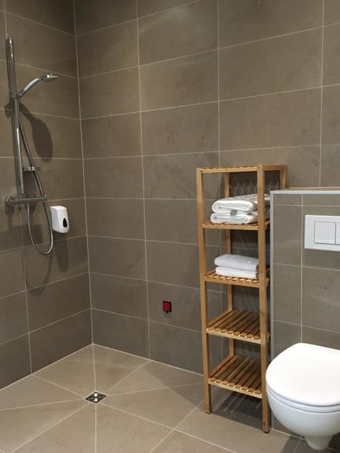 Standard Twin Room, 2 Twin Beds, Annex Building | Bathroom | Shower, hair dryer, towels, soap