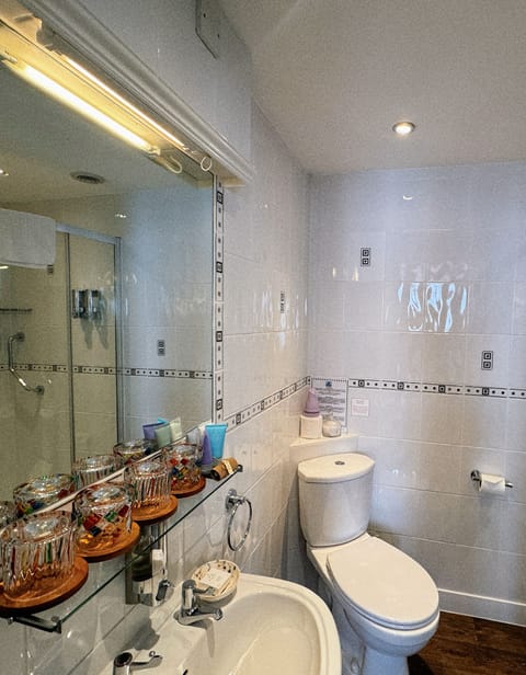 Family Room (for 4) | Bathroom | Shower, free toiletries, hair dryer, towels