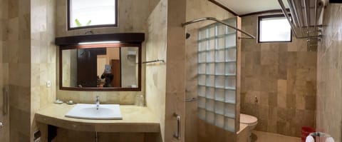 Deluxe Room | Bathroom | Towels, soap, toilet paper