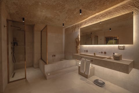 Moonspace Suite | Bathroom | Shower, rainfall showerhead, free toiletries, hair dryer