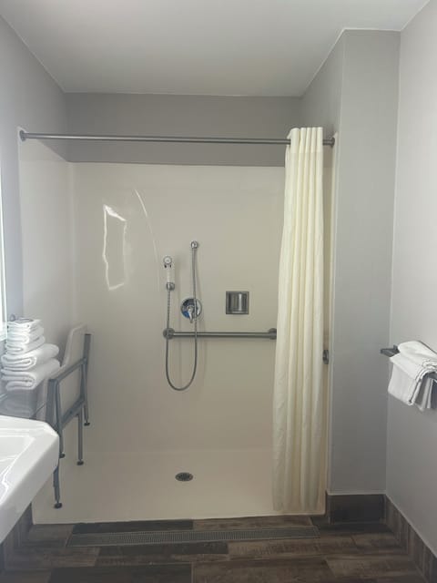 Standard Room, 1 King Bed, Accessible | Desk, free WiFi, bed sheets