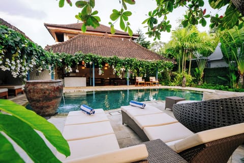 Outdoor pool, sun loungers