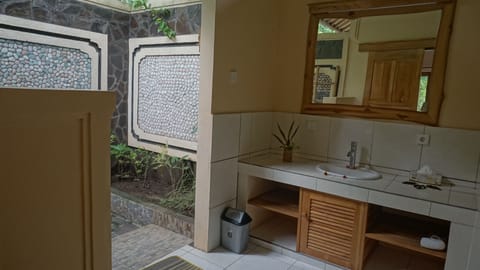 Deluxe Room | Bathroom | Shower, free toiletries, hair dryer, towels