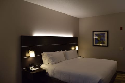 Standard Room, 1 King Bed, Accessible (Communications, Mobil, Roll-In Shower) | Desk, laptop workspace, blackout drapes, iron/ironing board