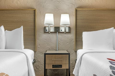 Premium bedding, desk, laptop workspace, blackout drapes