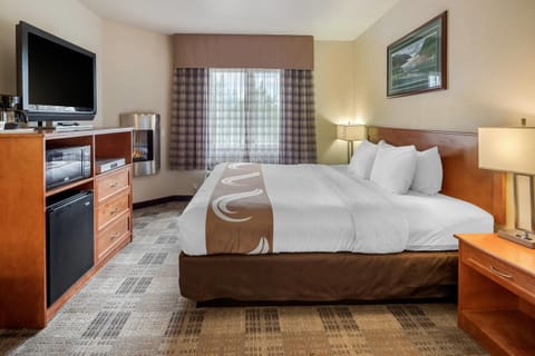 Room, 1 King Bed, Non Smoking | Pillowtop beds, desk, laptop workspace, blackout drapes