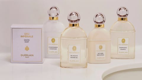 Hair dryer, bathrobes, slippers, towels