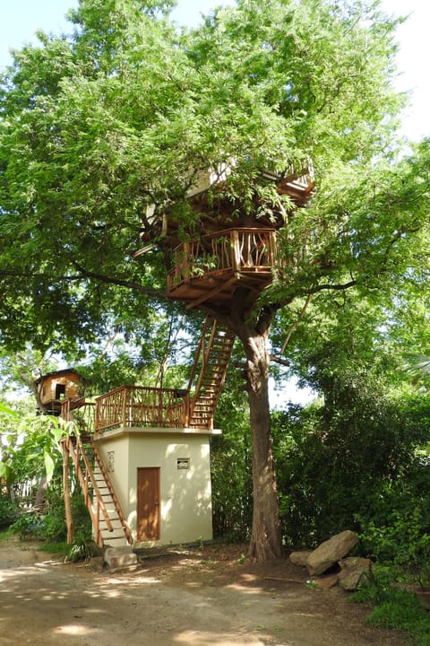 Deluxe Tree House | Desk, laptop workspace, iron/ironing board, free WiFi