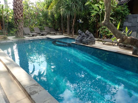 Outdoor pool, sun loungers