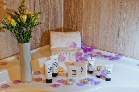 Shower, free toiletries, hair dryer, bidet